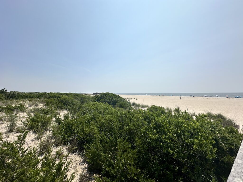 a landscape with trees and a sandy beach in the background (MyCoast AI)