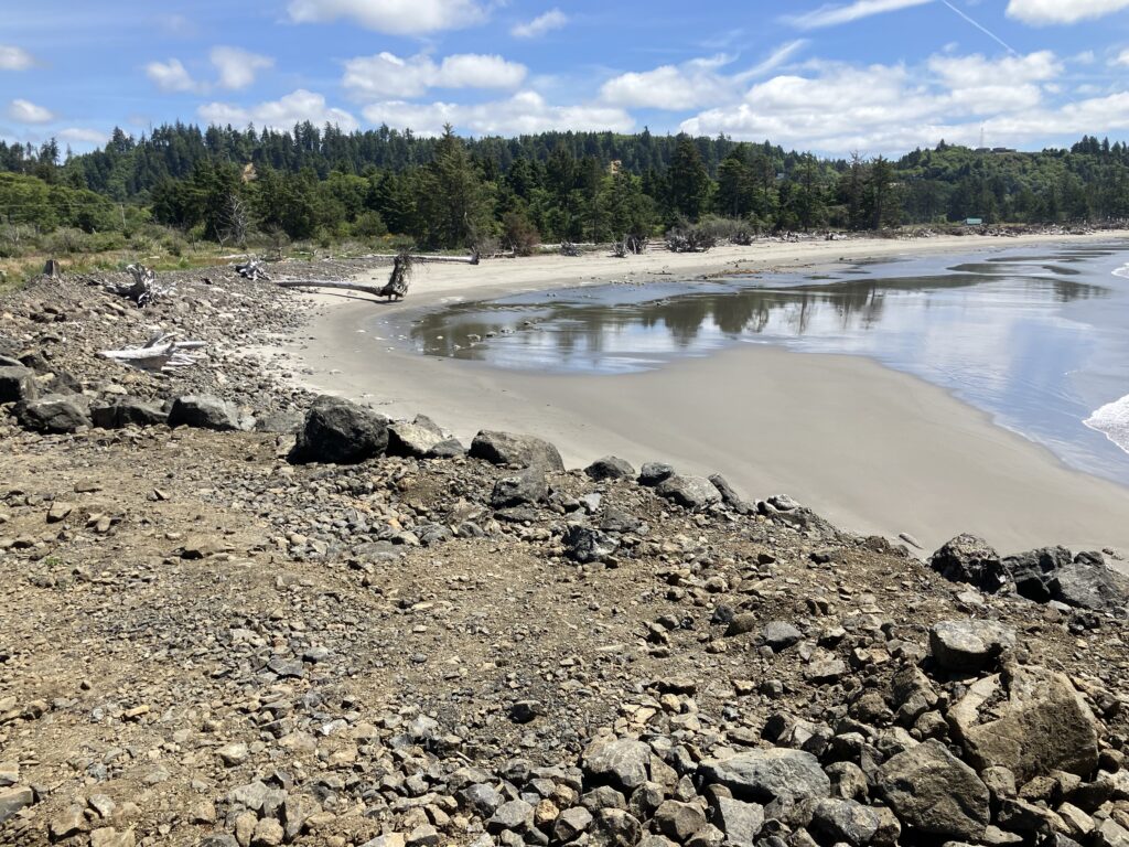 a rocky beach with trees in the background (MyCoast AI)