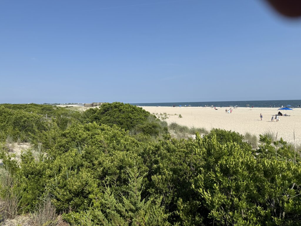 a beach with trees and people (MyCoast AI)