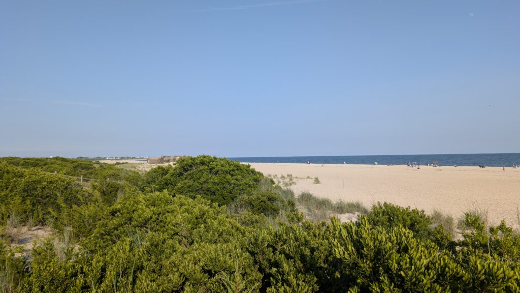 a beach with trees and bushes (MyCoast AI)
