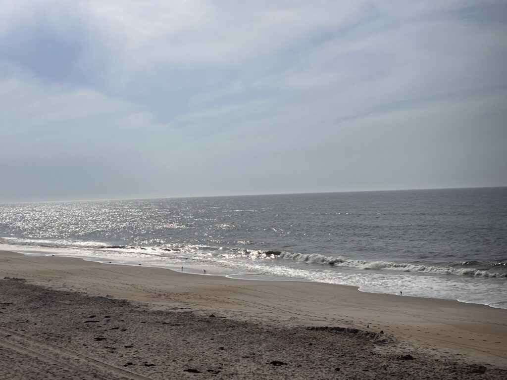 a beach with waves crashing (MyCoast AI)
