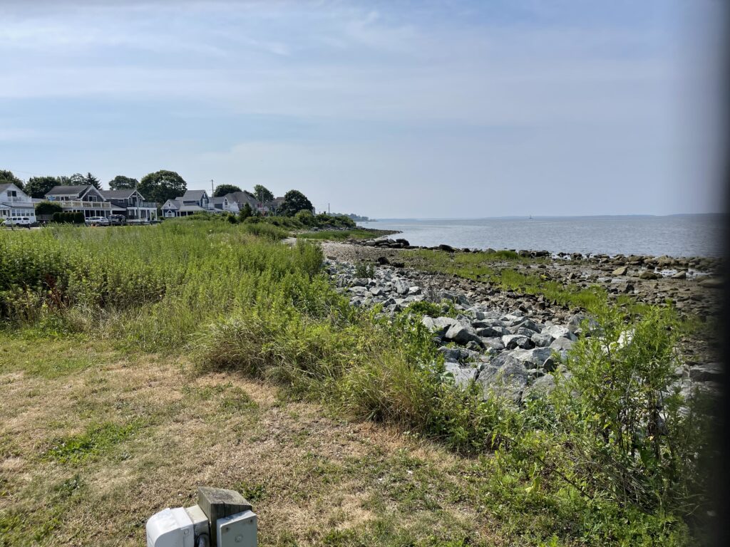 a rocky beach with houses and trees (MyCoast AI)