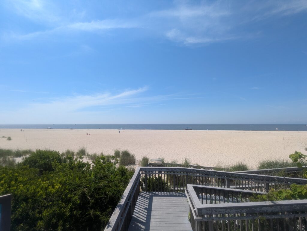 a sandy beach with bushes and trees (MyCoast AI)