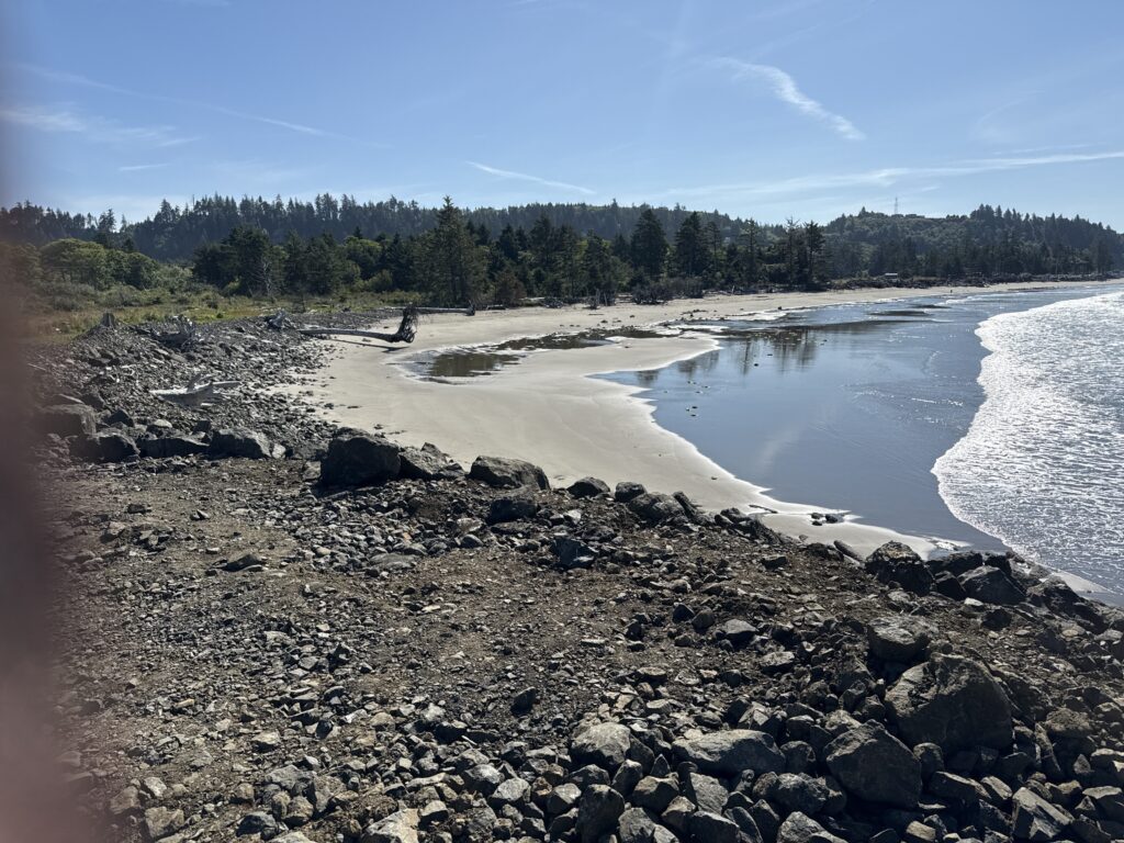 a rocky beach with trees in the background (MyCoast AI)