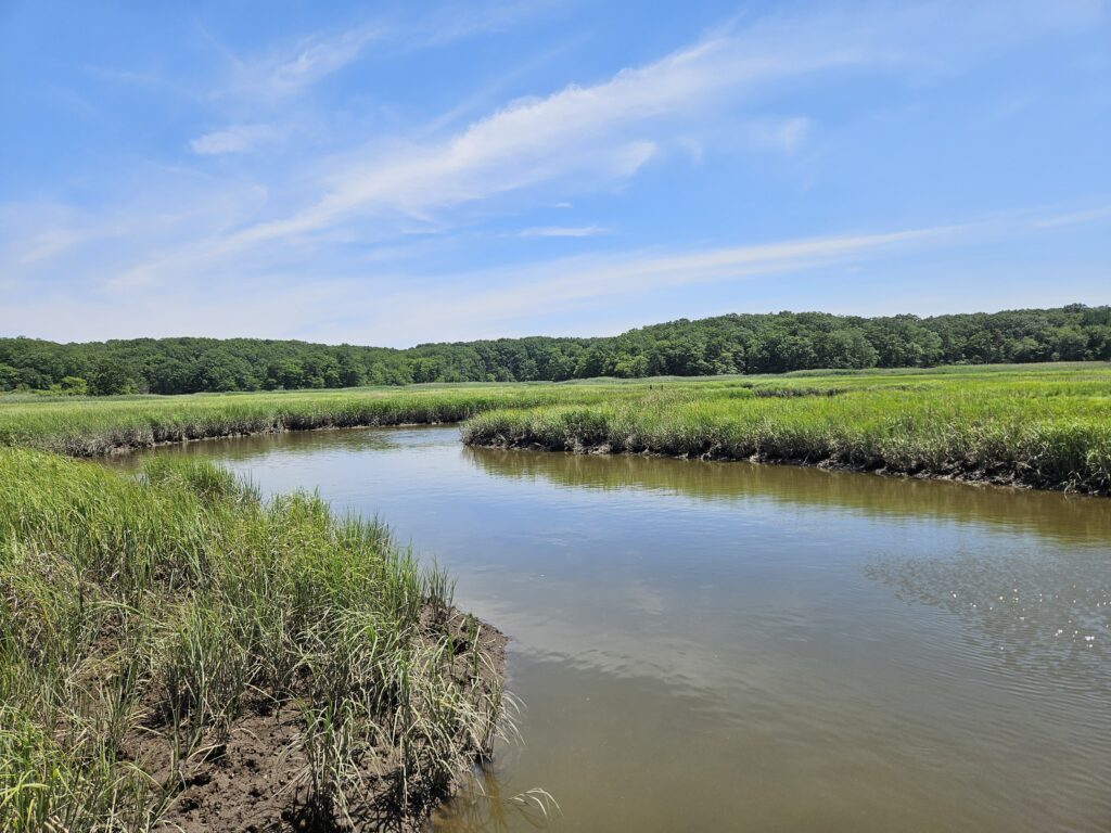 a river with grass and trees (MyCoast AI)
