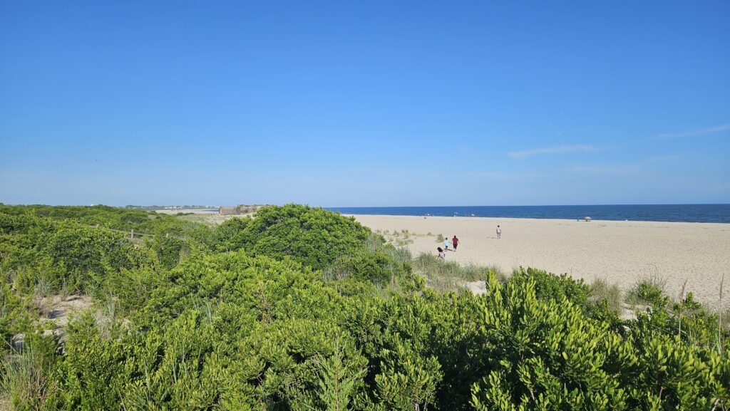 a group of people walking on a beach (MyCoast AI)