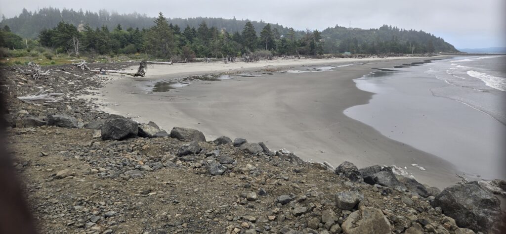 a rocky beach with a body of water and trees in the background (MyCoast AI)