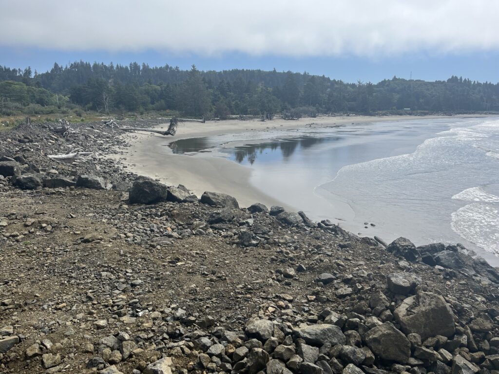 a rocky beach with a body of water and trees in the background (MyCoast AI)