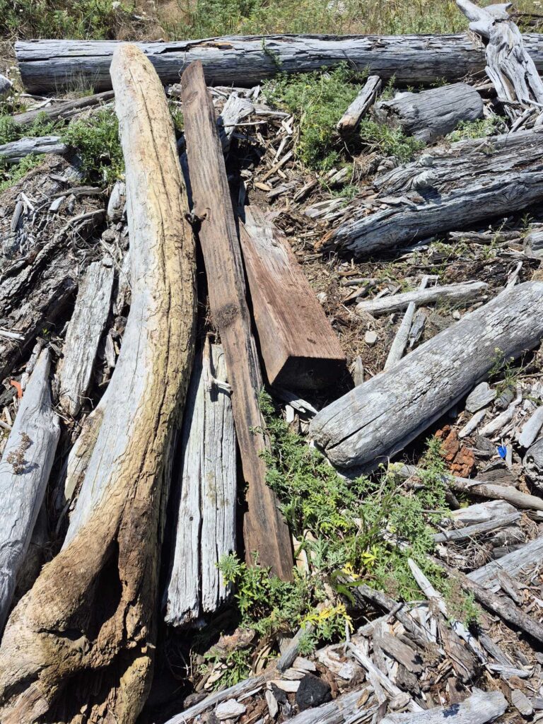 a group of logs (MyCoast AI)