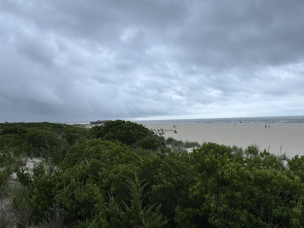a body of water with trees around it (MyCoast AI)