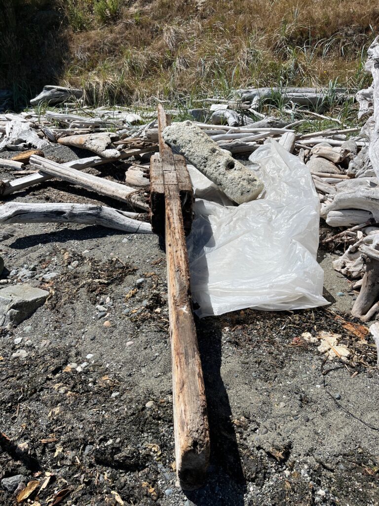 a pile of wood and a plastic bag on the ground (MyCoast AI)