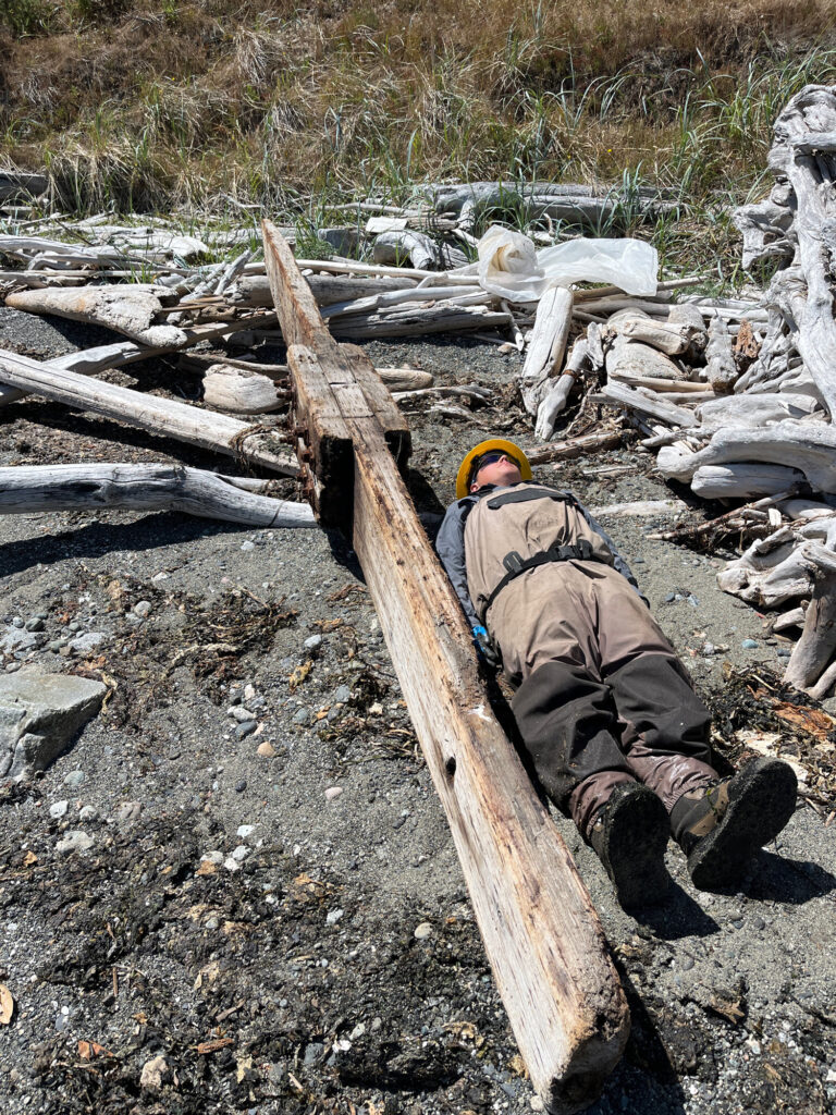 a person sitting on a pile of wood (MyCoast AI)