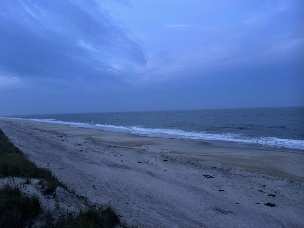 a beach with waves crashing on it (MyCoast AI)