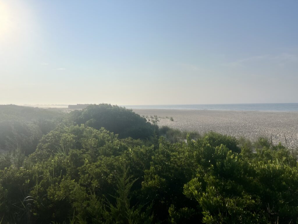 a landscape with trees and water in the background (MyCoast AI)