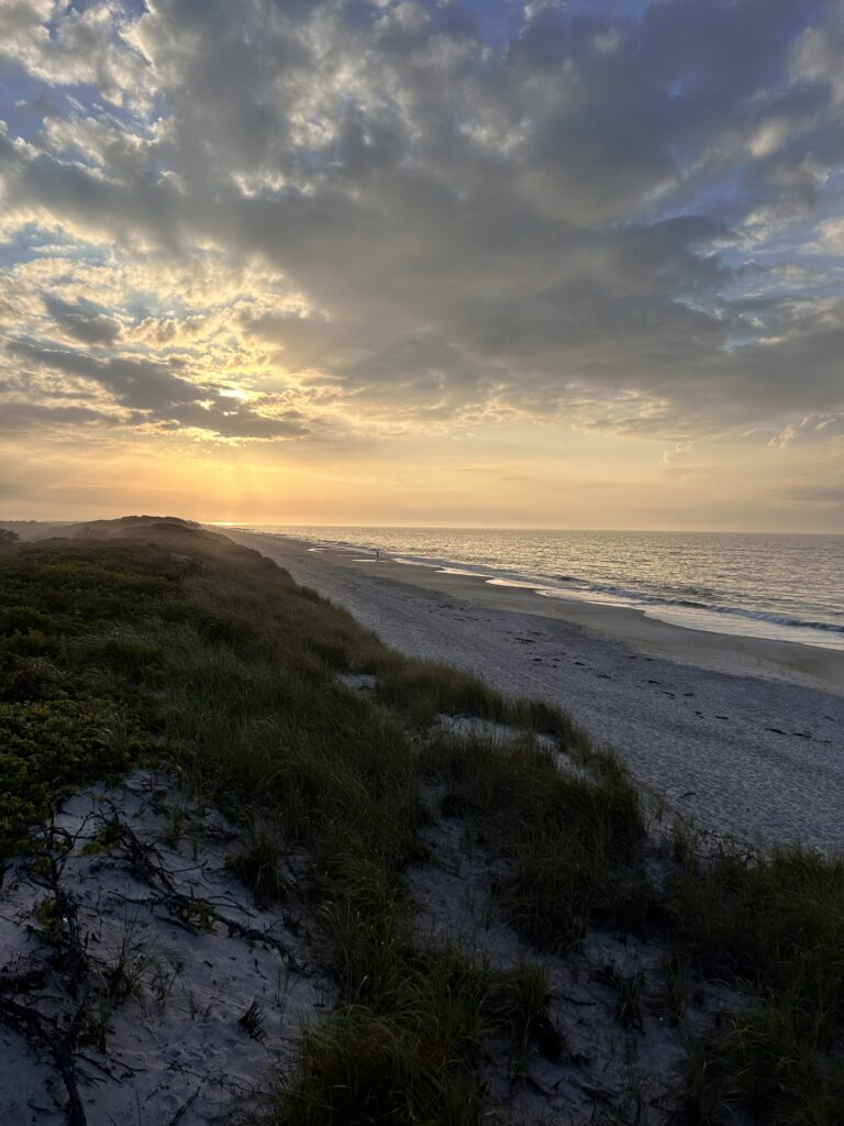 a beach with grass and sand (MyCoast AI)