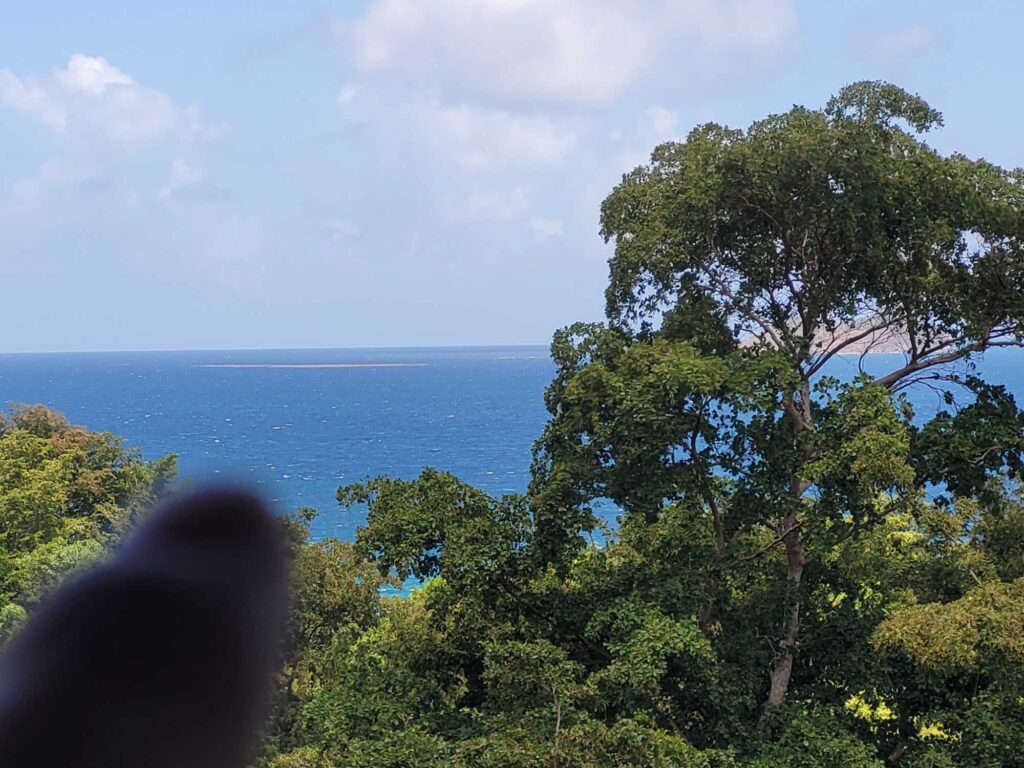 a view of the ocean from a hill (MyCoast AI)