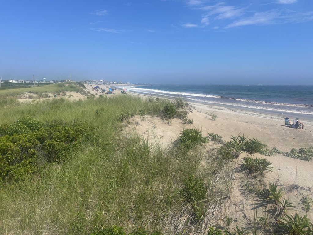 a beach with grass and bushes (MyCoast AI)