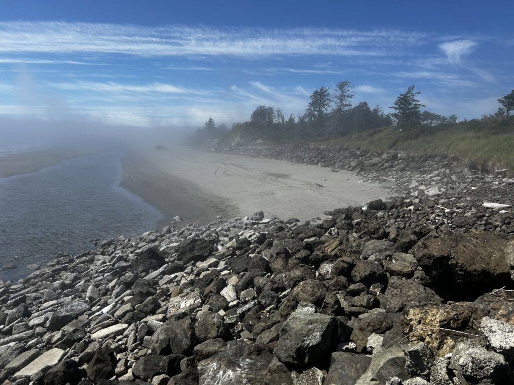 a rocky beach with trees and water (MyCoast AI)