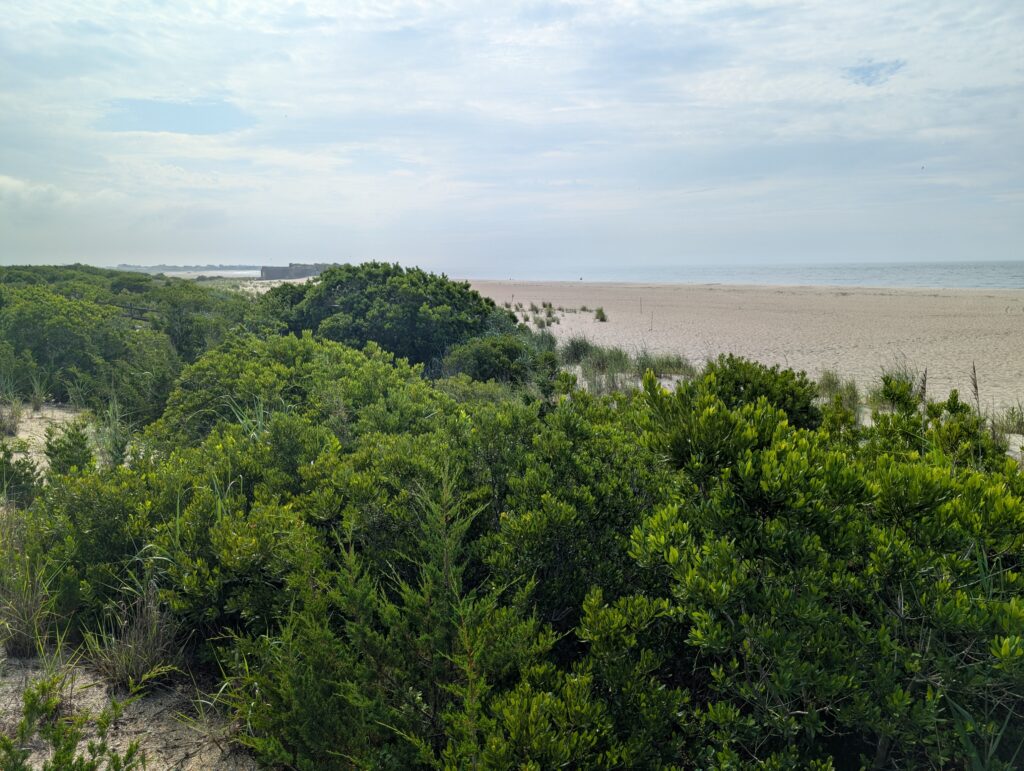 a beach with trees and bushes (MyCoast AI)