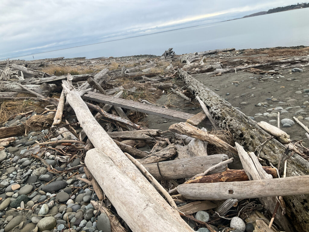 a pile of wood on a beach (MyCoast AI)