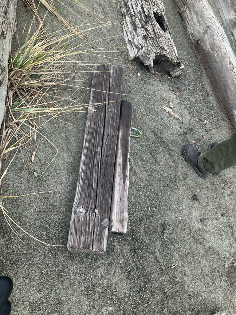 a person's feet on a wooden fence with Nazca Lines in the background (MyCoast AI)