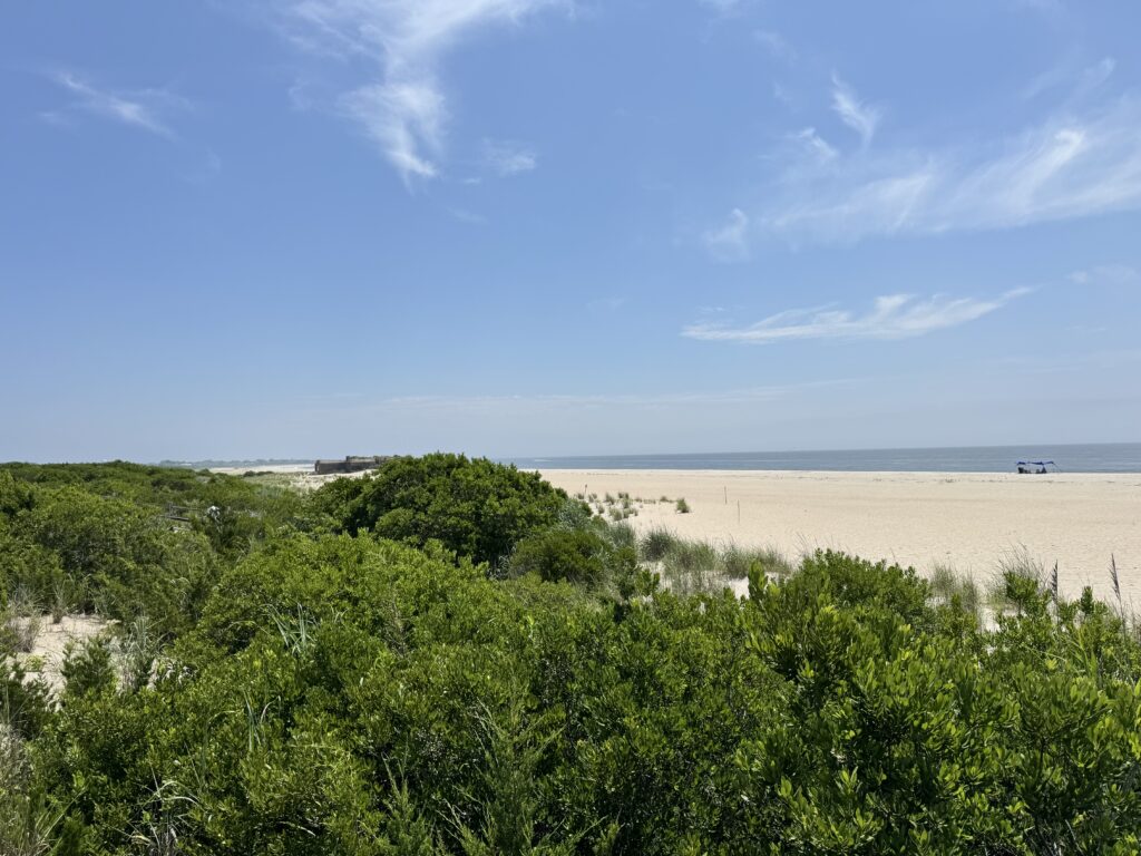 a beach with trees and bushes (MyCoast AI)
