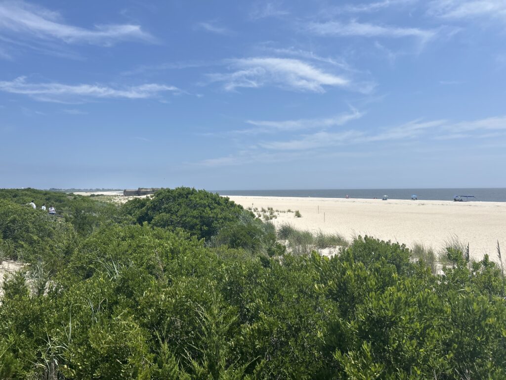a landscape with trees and a body of water in the background (MyCoast AI)