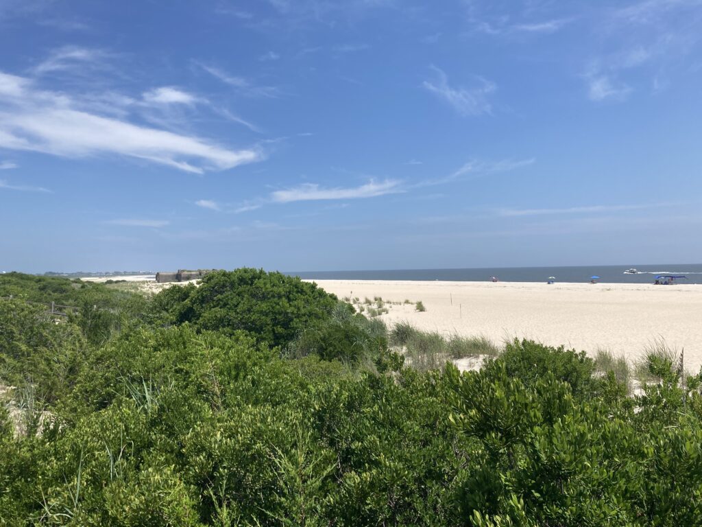 a sandy beach with bushes and trees (MyCoast AI)