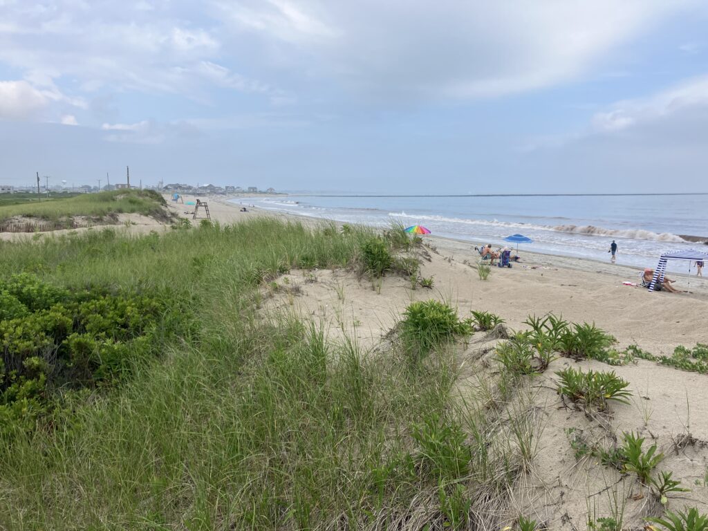 a beach with people and umbrellas (MyCoast AI)