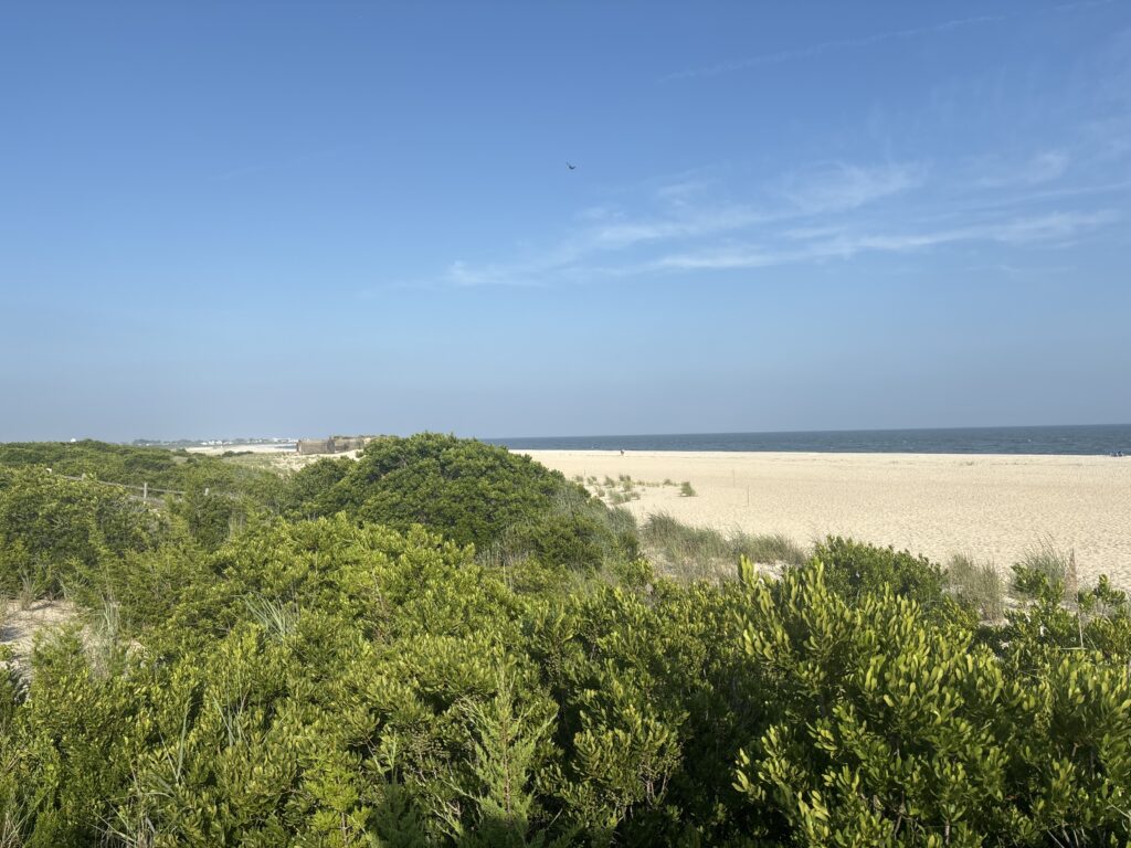 a landscape with trees and bushes (MyCoast AI)
