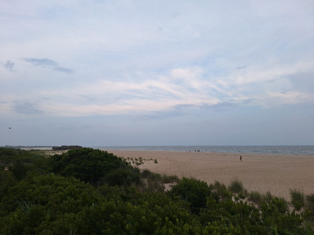a sandy beach with bushes and trees (MyCoast AI)