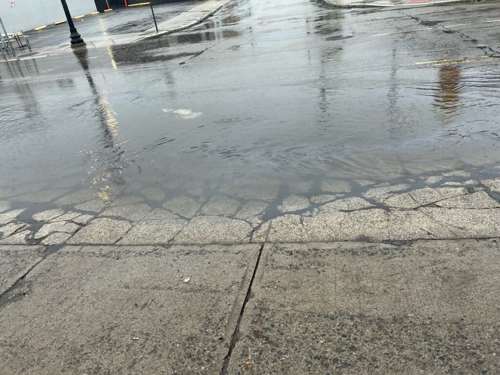 a wet sidewalk with puddles (MyCoast AI)