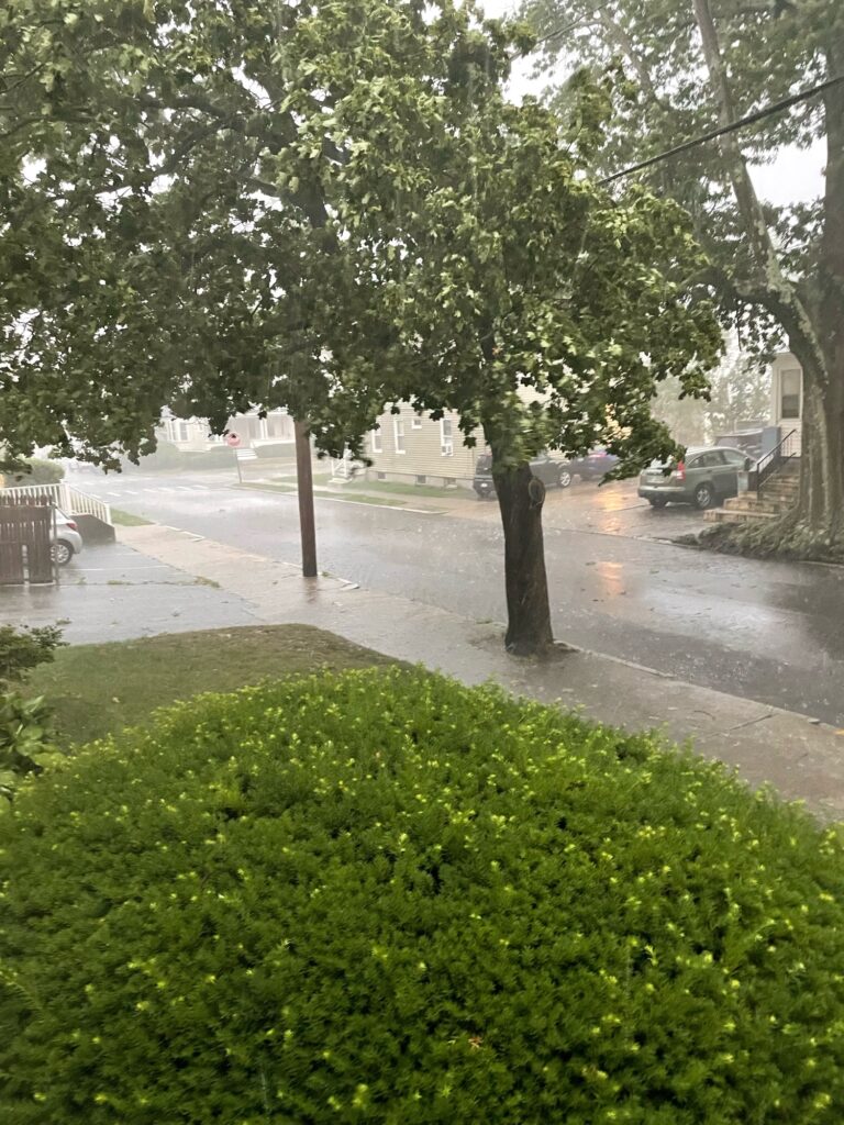 a street with trees and benches (MyCoast AI)