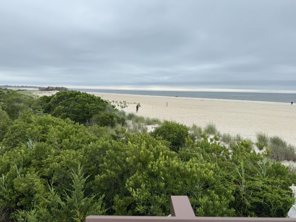 a beach with trees and bushes (MyCoast AI)