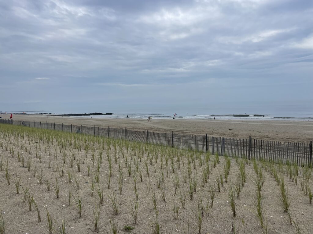 a fence in a field (MyCoast AI)