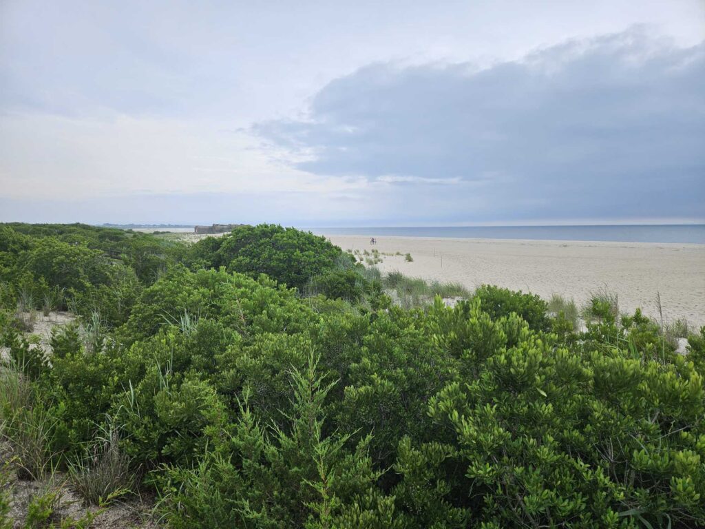 a beach with trees and bushes (MyCoast AI)