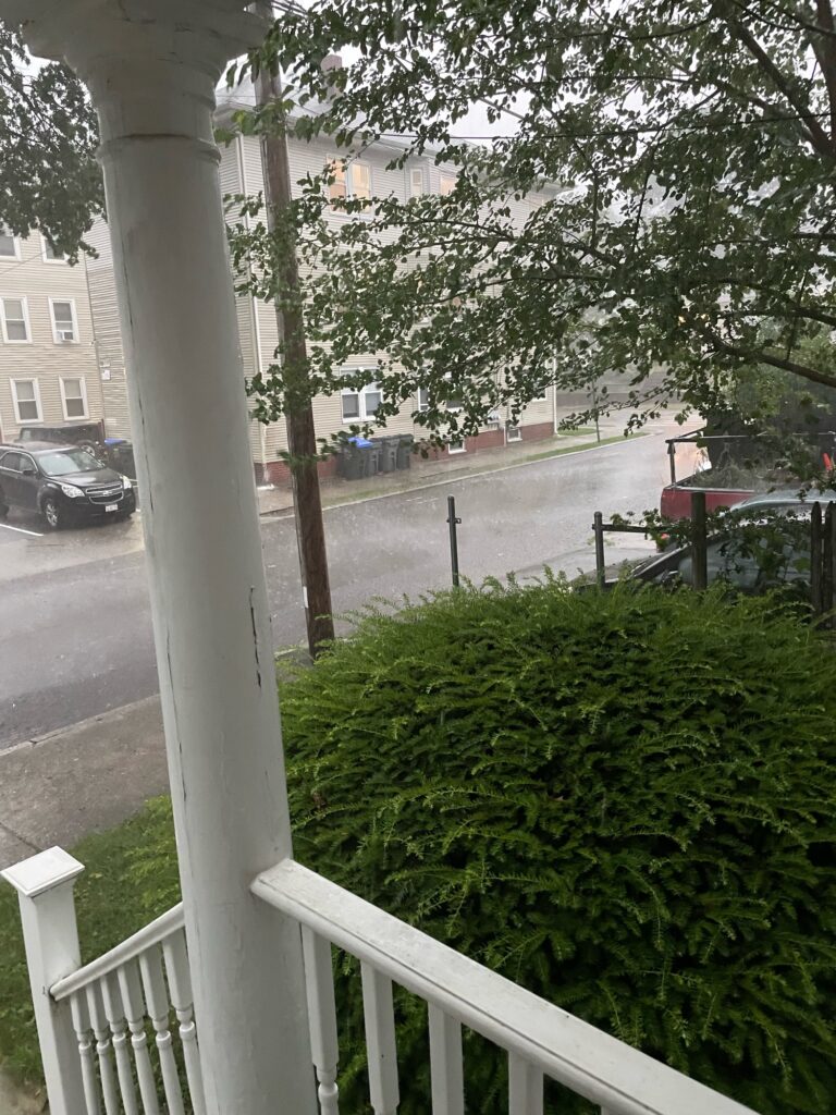 a white fence with a white railing and trees and a street (MyCoast AI)