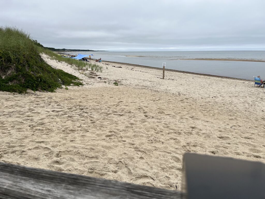 a sandy beach with a body of water in the background (MyCoast AI)