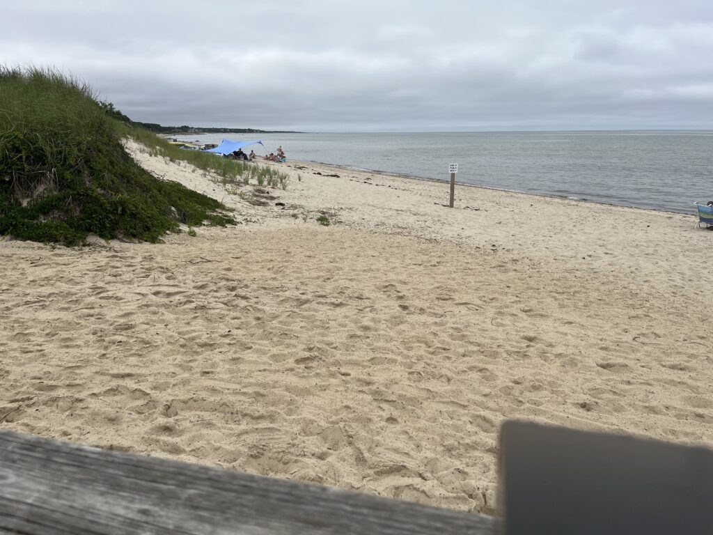 a sandy beach with a body of water in the background (MyCoast AI)
