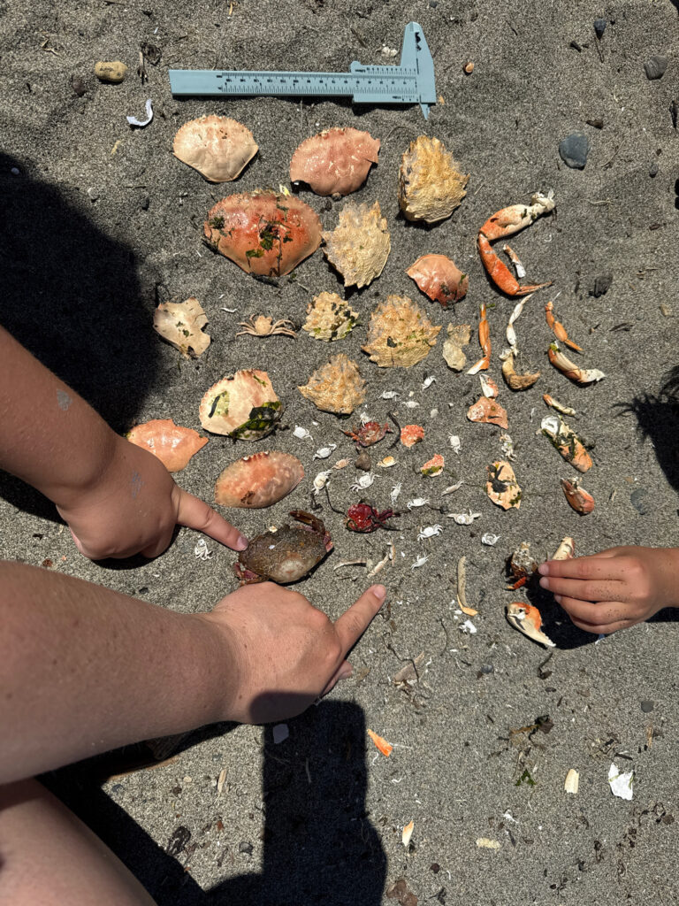 a group of hands reaching for mushrooms (MyCoast AI)