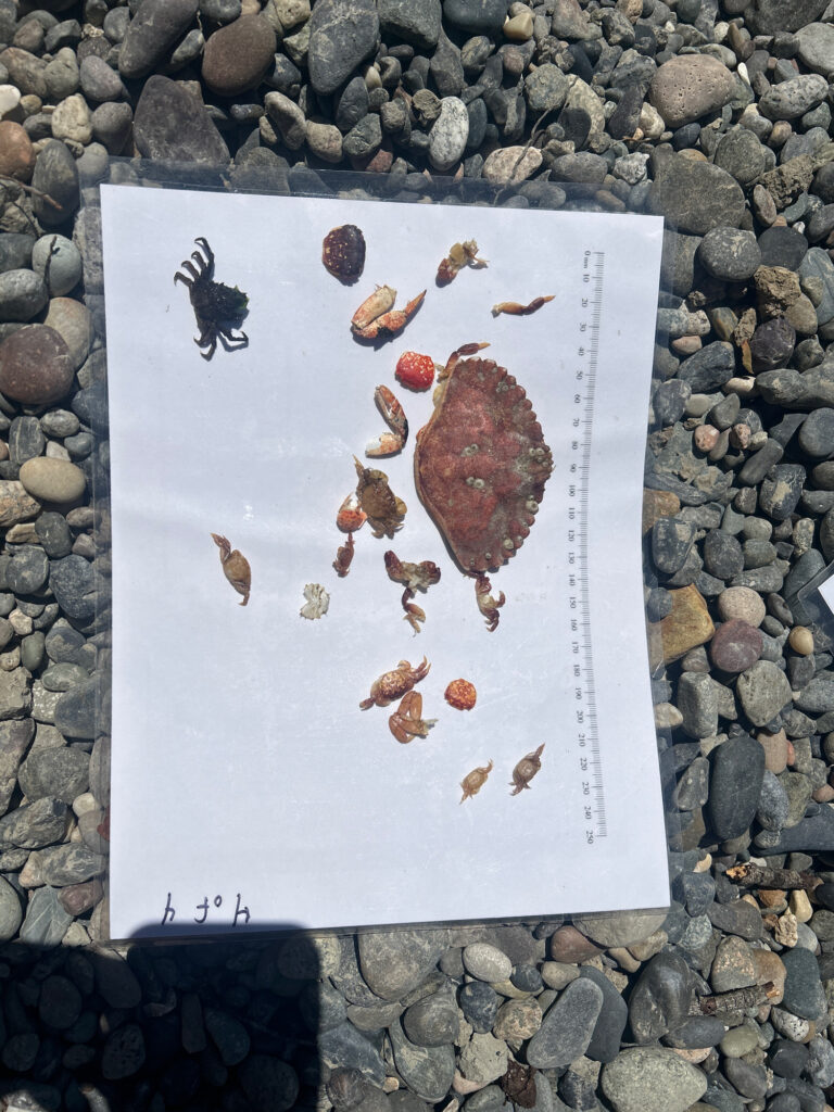 a book on a rocky surface (MyCoast AI)
