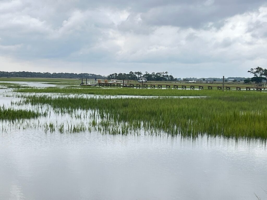 a body of water with grass and trees around it (MyCoast AI)