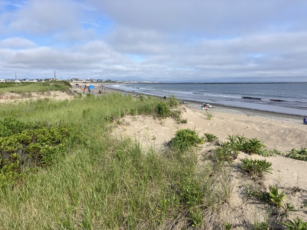 a beach with people walking on it (MyCoast AI)