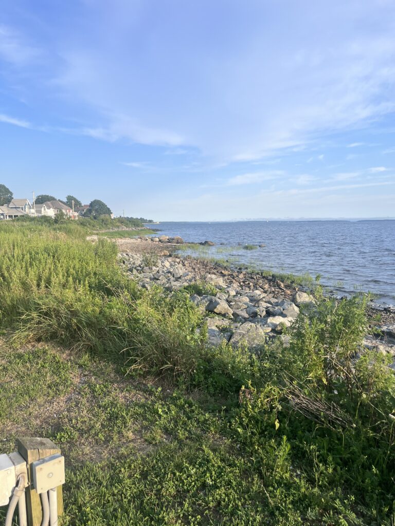 a rocky beach with a body of water in the background (MyCoast AI)