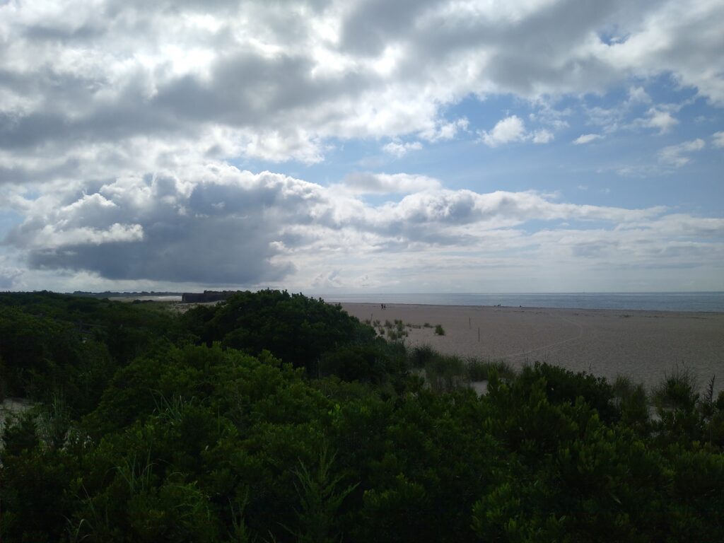 a beach with trees and a cloudy sky (MyCoast AI)