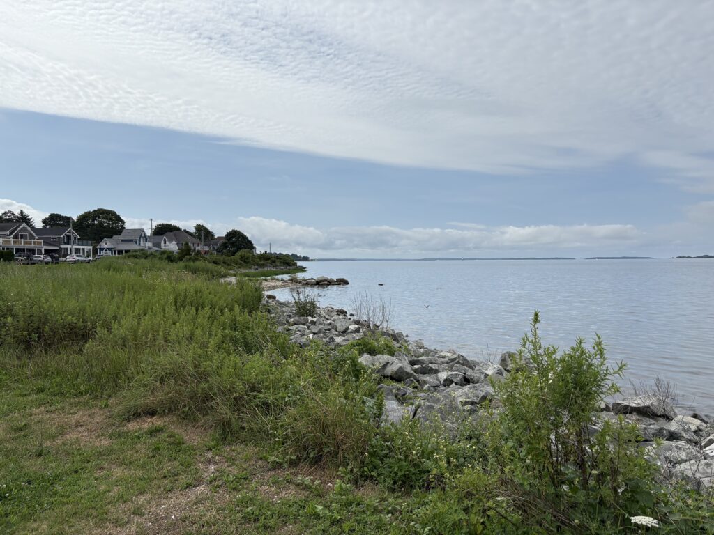 a grassy area next to a body of water (MyCoast AI)