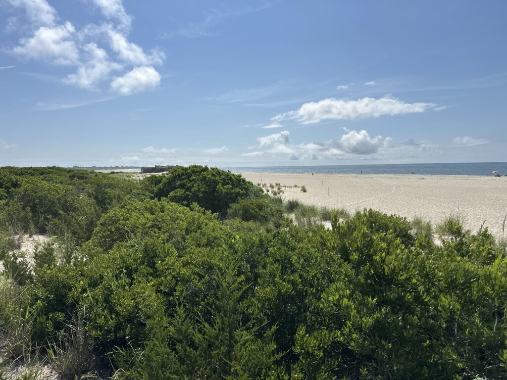 a landscape with trees and a body of water in the background (MyCoast AI)