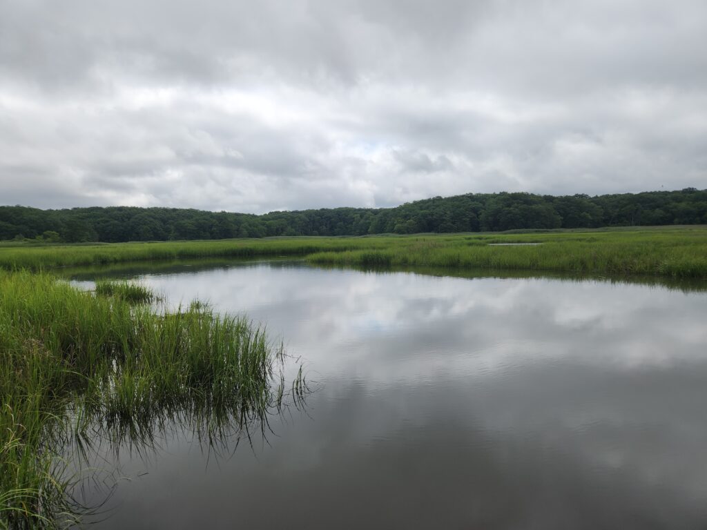 a body of water with grass and trees around it (MyCoast AI)