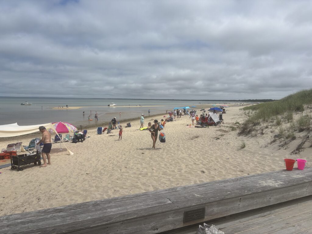people on a beach (MyCoast AI)