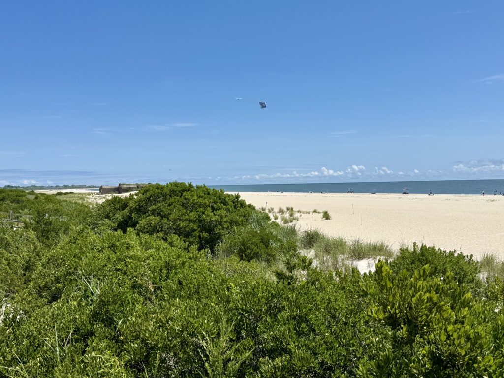 a group of trees and a beach (MyCoast AI)